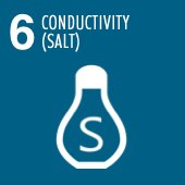 Salt